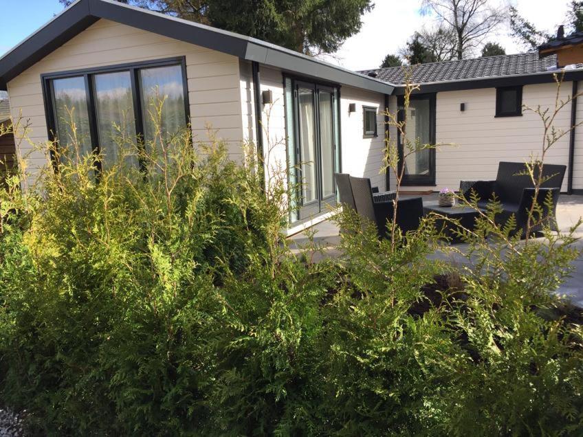 Huisjes Putten Reewold Chalet In Rustige En Mooie Omgeving Exterior foto
